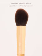 tapered powder brush