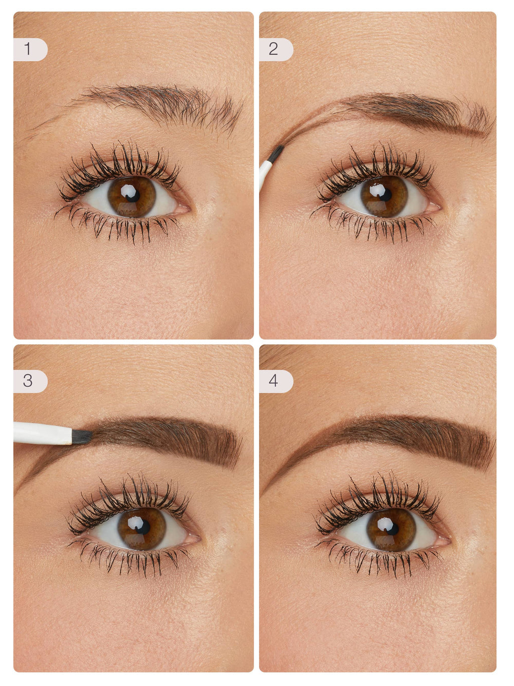 maneater™ brow mousse