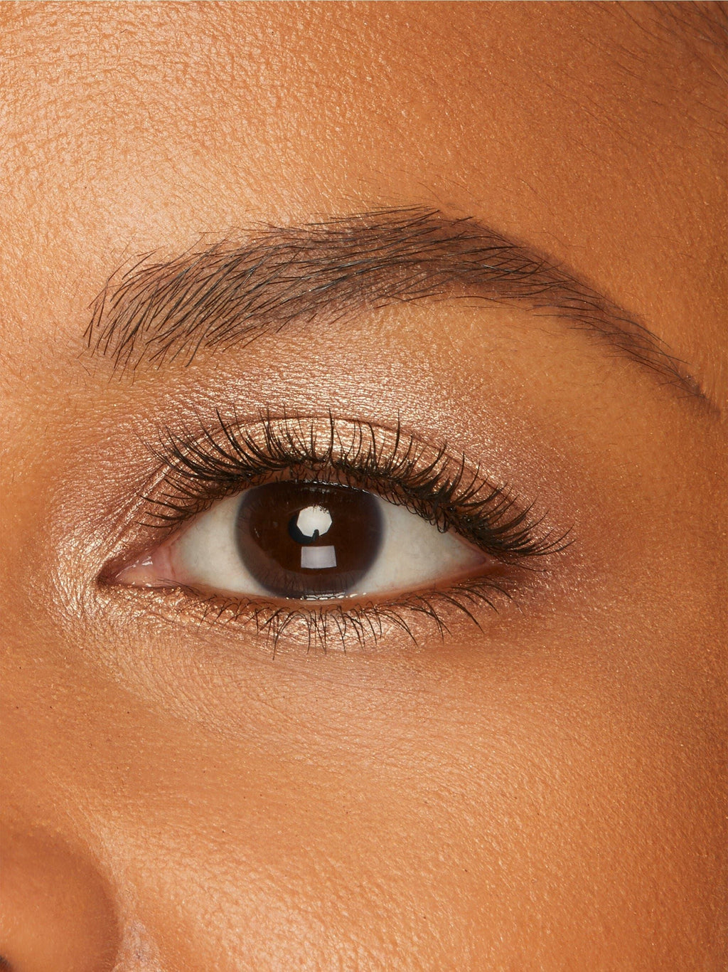 Amazonian clay cream shadow