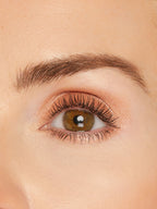 Amazonian clay cream shadow