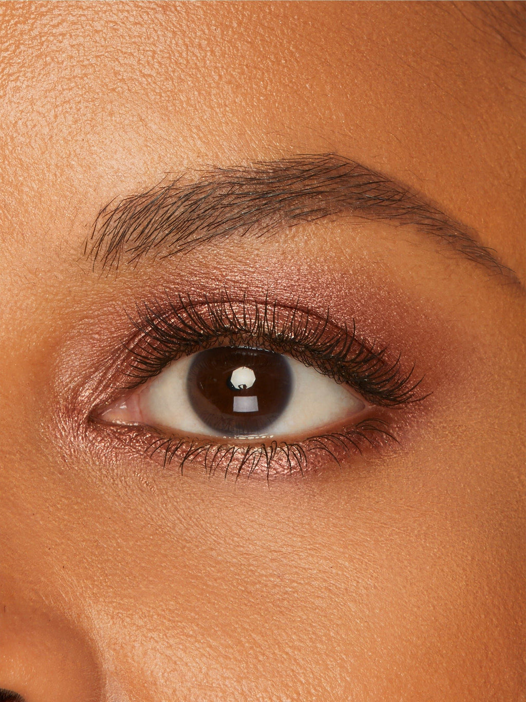 Amazonian clay cream shadow