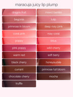 travel-size maracuja juicy lip plump