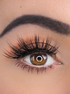 cruelty-free lashes